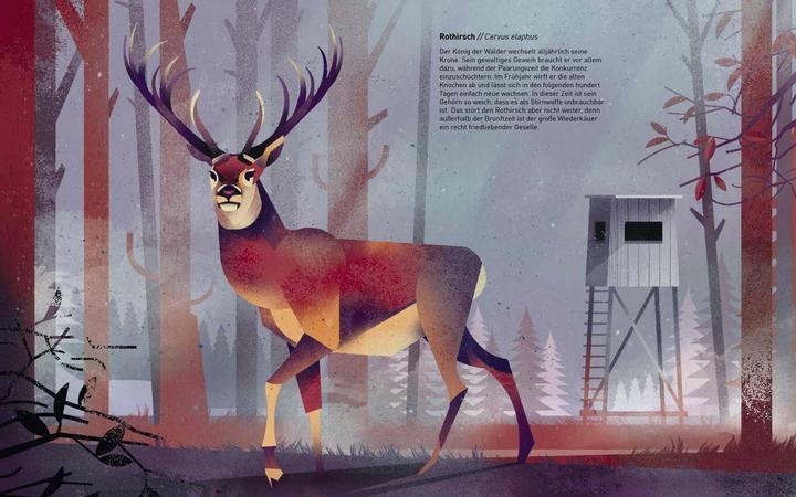 Actual product image Die Welt der wilden Tiere (German, Dieter Brown, 2015)