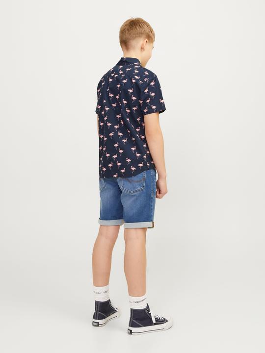 Produktbild Jack & Jones Regular Fit Regular Fit Shorts Für jungs Regular Fit Shorts (176)