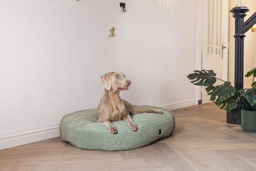 Actual product image Designed by Lotte Ribbed divan bed (Dog)