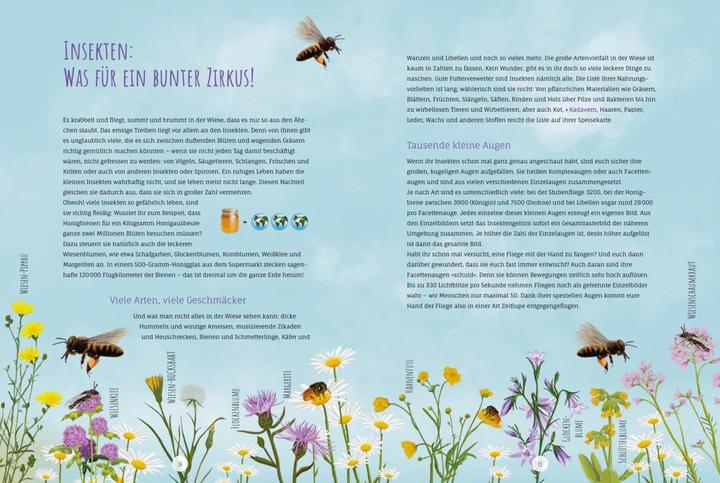 Immagine prodotto Die Wildwiese (Tedesco, Annette Zacharias, Angelika Huber-Janisch, 2022)