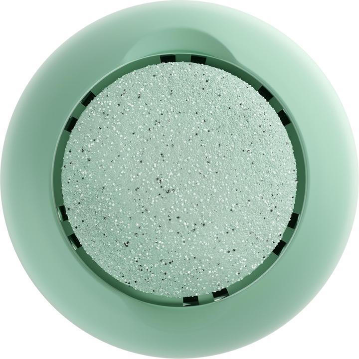 Actual product image Ailoria Lustre