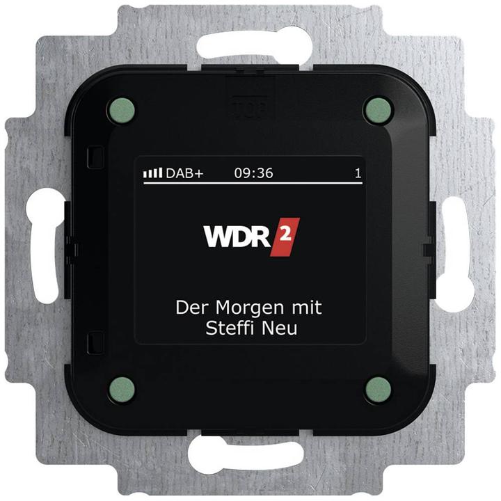 Busch-Jaeger Busch-Radio DAB+ (DAB+)