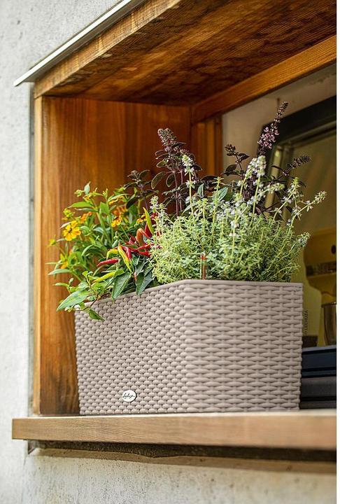 Produktbild Lechuza Blumentopf Balconera Cottage 50 (19 cm)