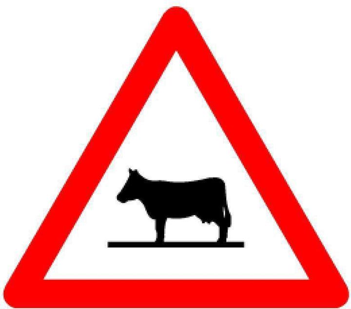 BRW Signaltafel Tiere Kuh 1.25