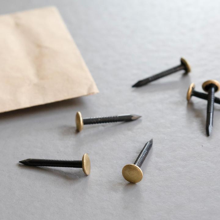 Immagine prodotto Tox Chiodo per foto Home Classic con testa in ottone 2,0 x 25 mm (20 Pezzo/i, 25 mm)