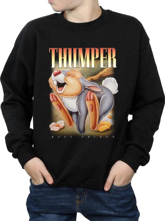 Immagine prodotto Disney Bambi Thumper Montage Felpa Ragazzi (140, 146)
