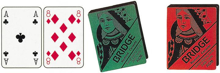 Actual product image AGM Bridge cards (English)