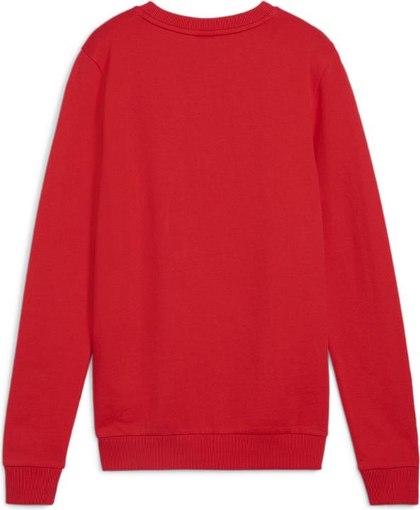 Actual product image Puma teamGOAL Casuals Crew Neck Sweat Wmn (XS)