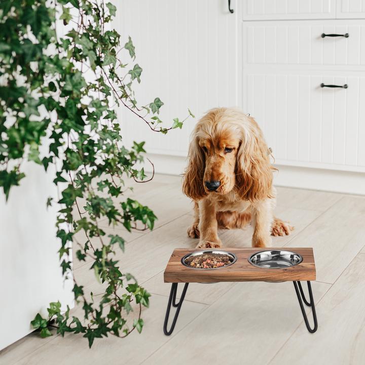 Actual product image Relaxdays Pet bowls