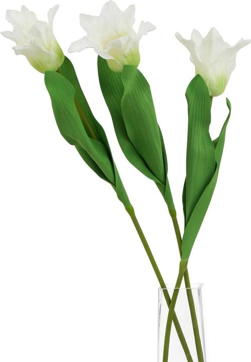 Produktbild Hill Interiors Kunstblume (67 cm)