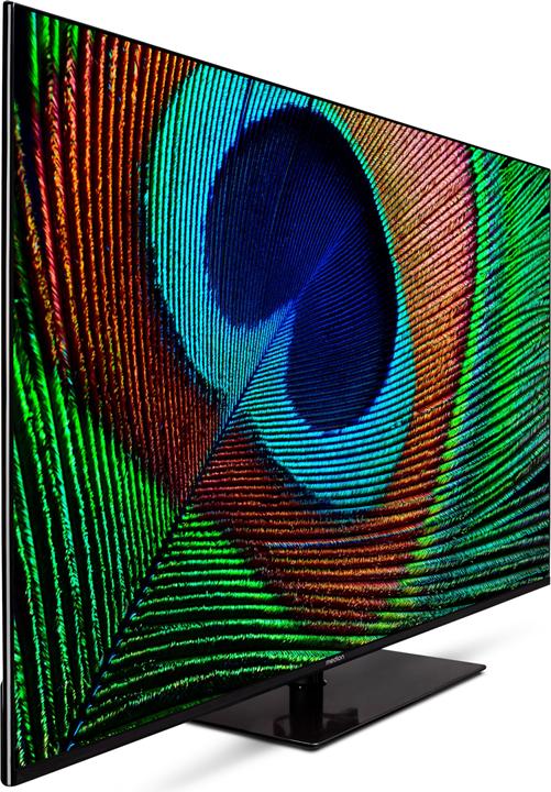 Actual product image Medion LIFE® X15071 (MD 30922) Android TV™ (50", LCD, 4K)