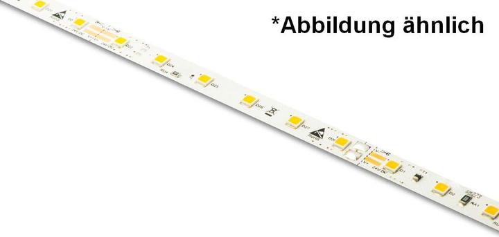 Actual product image Barthelme LEDlight flex 12 10 LITE 500, roll 500 cm 50414133 LED strip 24 (Warm white, 500 cm, Indoor)