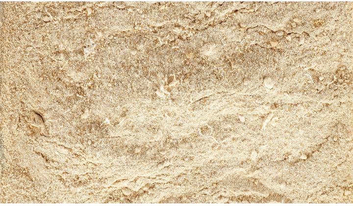 Produktbild Schweizer Nahrungsergänzung Easy Barf Pro Active Pulver, 300g (Adult, 1 Stk., 360 g)