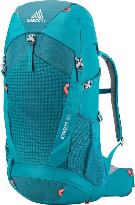 Actual product image Gregory Icarus (30 l)