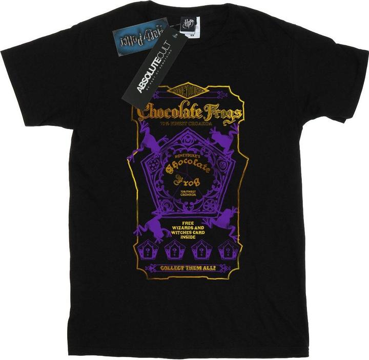 Actual product image Boys Chocolate Frogs Coloured Label T-Shirt (152, 158)