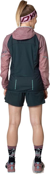 Produktbild Dynafit Alpine Wind Jacke (38, M)