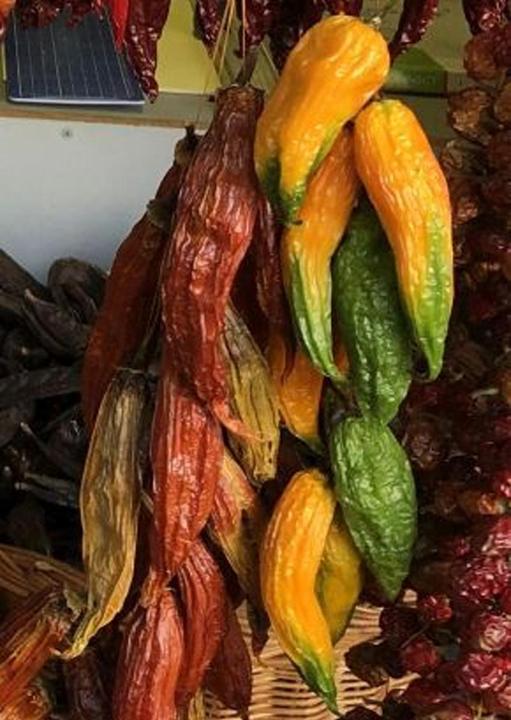 Actual product image Tropica Chilli - AJI Amarillo ( Capsicum baccatum ) (Vegetable seeds)