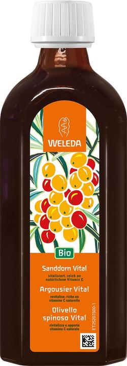 Actual product image Weleda Organic Sea Buckthorn Vital Syrup