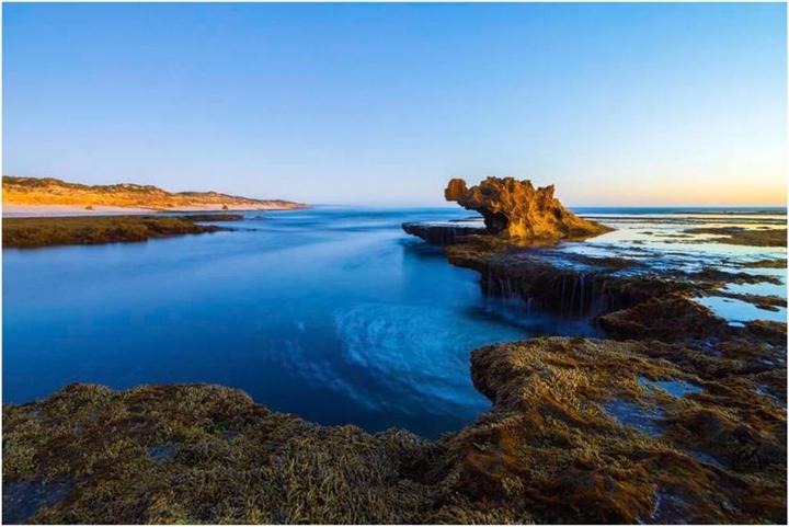 Immagine prodotto Samyang MF 14mm F2.8 (Canon RF, Full-frame)