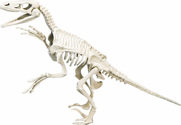Immagine prodotto Clementoni Scienza e giochi Archeospel - Velociraptor