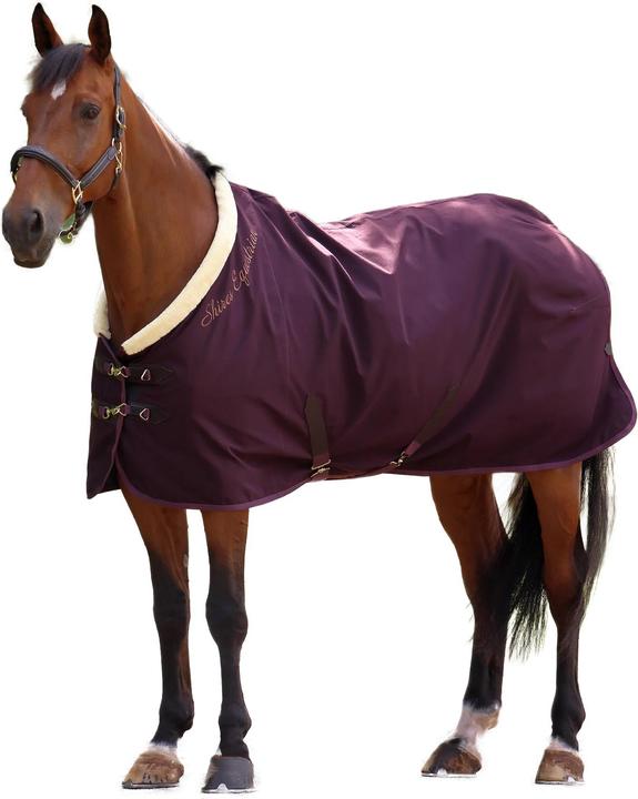 Produktbild Shires Deluxe Standard Pferde Stalldecke (152 cm)