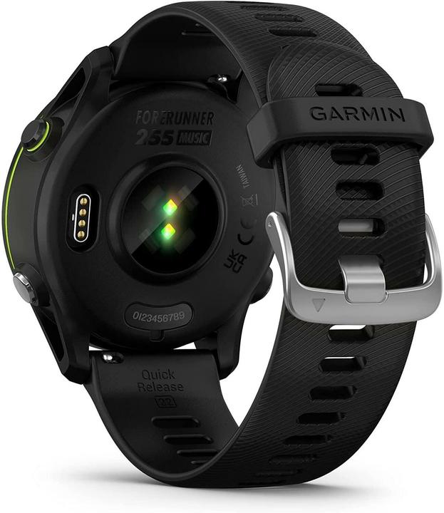 Image du produit Garmin Forerunner 255S Music (41 mm)