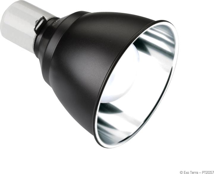 Actual product image Exo Terra light domes (UVB)