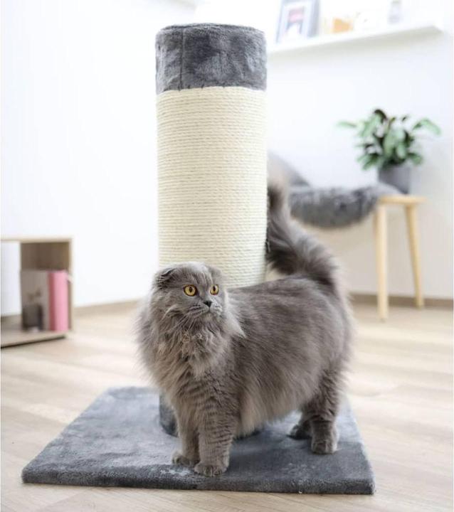 Produktbild Kerbl Arbre a chat Opal Ultra Ã¸ 22cm 82x60x60cm (82 cm, Grau, Natural)
