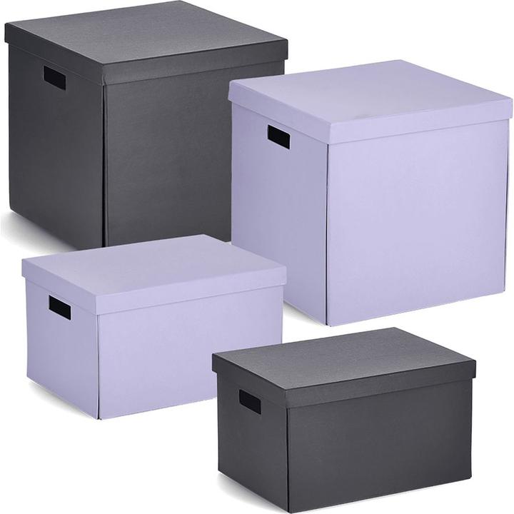 Immagine prodotto Zeller Present Scatola di stoccaggio 25x35x20 fly (25 x 35 x 20 cm)