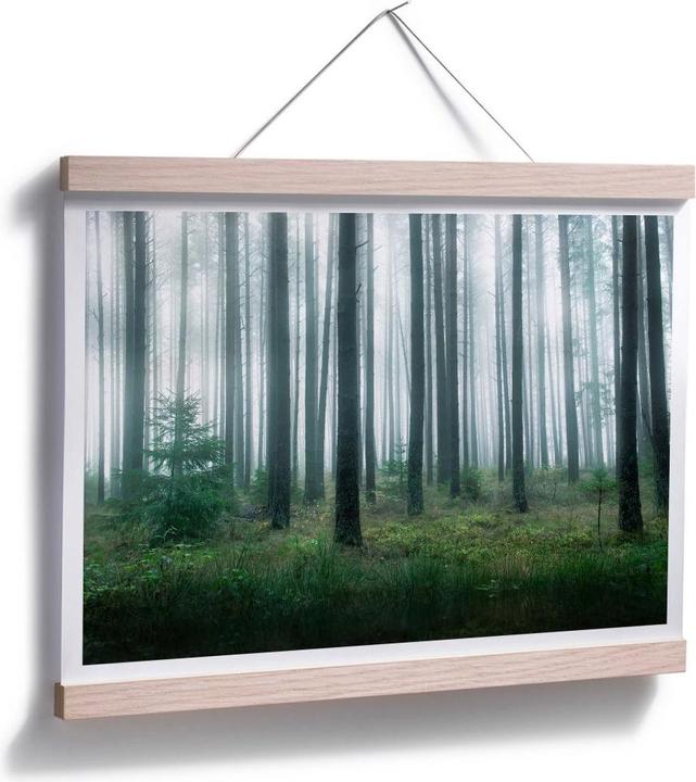 Image du produit Trenddeko Dans la forêt (100 x 80 cm)