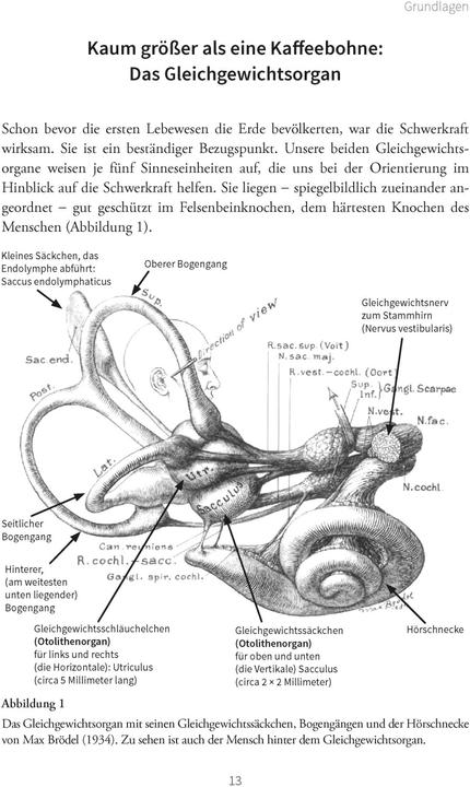 Immagine prodotto Hilfe bei Schwindel (Tedesco, Helmut Schaaf, 2021)