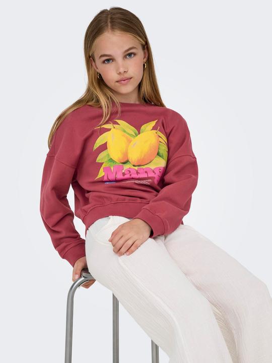 Produktbild Only KOGPHILEA Sweatshirt Sweatshirt (110)