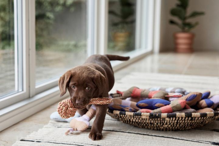 Image du produit Oyoy ZOO - Ashi Dog Toy Large - Rouge/Brown (Z60070) (Jouet en peluche chien)