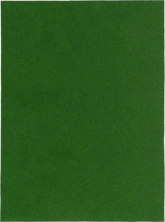 Produktbild Snapstyle Rasenteppich (200 x 450 cm)