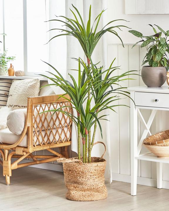 Actual product image Beliani Dracaena Anita (147 cm)