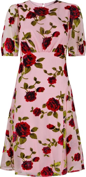 Produktbild Joe Browns Vintage Inspired Devore Rose Mini Dress (18)