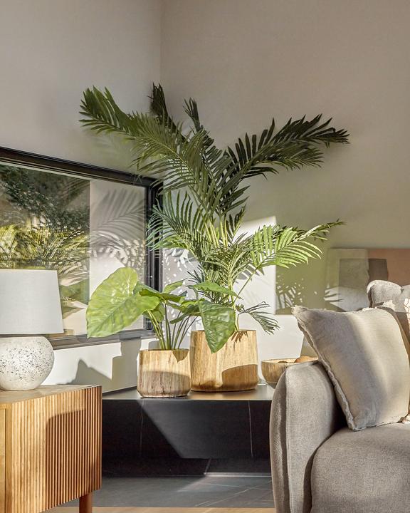 Image du produit Kave Home Alocasia Odora (57 cm)