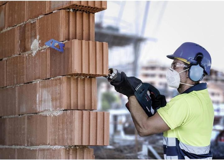 Image du produit Bosch Professional Zubehör Lame de scie alternative Expert 'Hollow Brick' S 2243 HM, 1 pièce