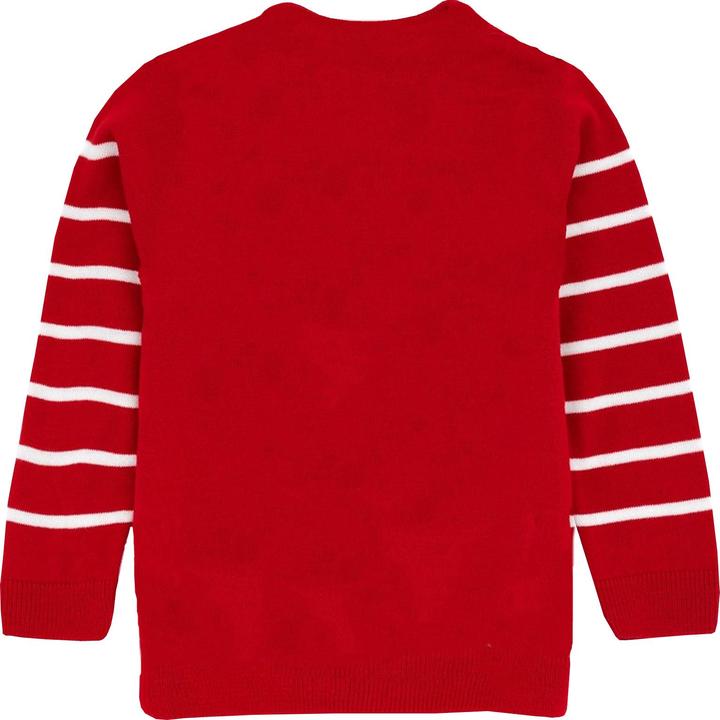 Immagine prodotto Paw Patrol Maglione di Natale lavorato a maglia Skye (104)