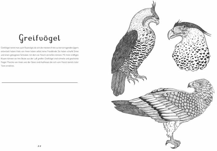 Produktbild Das Museum der Tiere. Mein Malbuch