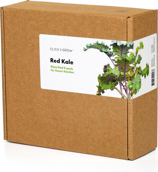 Actual product image Click and Grow Red cabbage (Vegetable seeds)