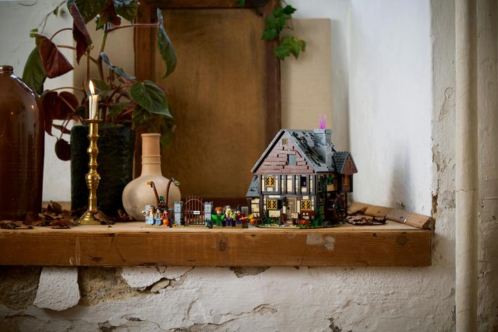 Actual product image LEGO Disney Hocus Pocus: The Sanderson Sisters' Cottage (21341, LEGO Ideas, LEGO Rare Sets)