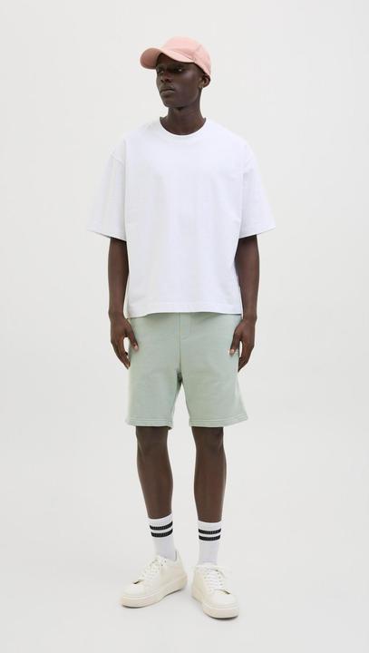 Immagine prodotto Jack & Jones Regular Fit Shorts Shorts (XS)