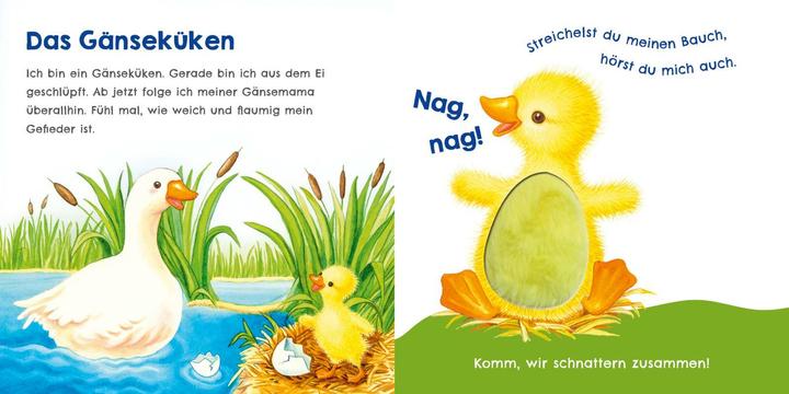 Produktbild Hör mal, wie ich schnattern kann (Mein erstes Streichel-Soundbuch 1) (Deutsch)