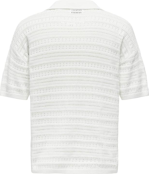 Actual product image Only & Sons Onsgrayson Ds 5 Chochet Polo Knit (L)