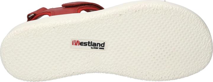 Actual product image Westland 25401-410 (40)
