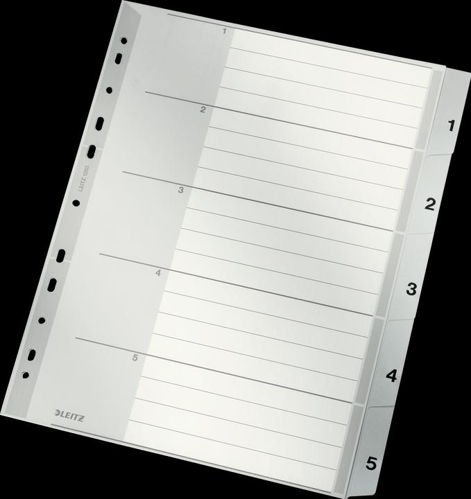 Actual product image Leitz Register PP
