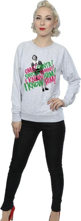 Actual product image Elf Womens/Ladies Santa's Coming Sweatshirt (XL)