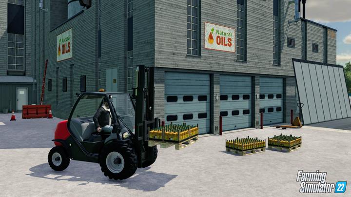 Actual product image Giants Software Farming Simulator 22 (PS4, FR, IT)