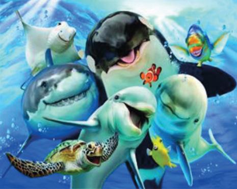 Image du produit Pracht Diamond Painting 6037-50021 Monde sous-marin 33 x 44 cm